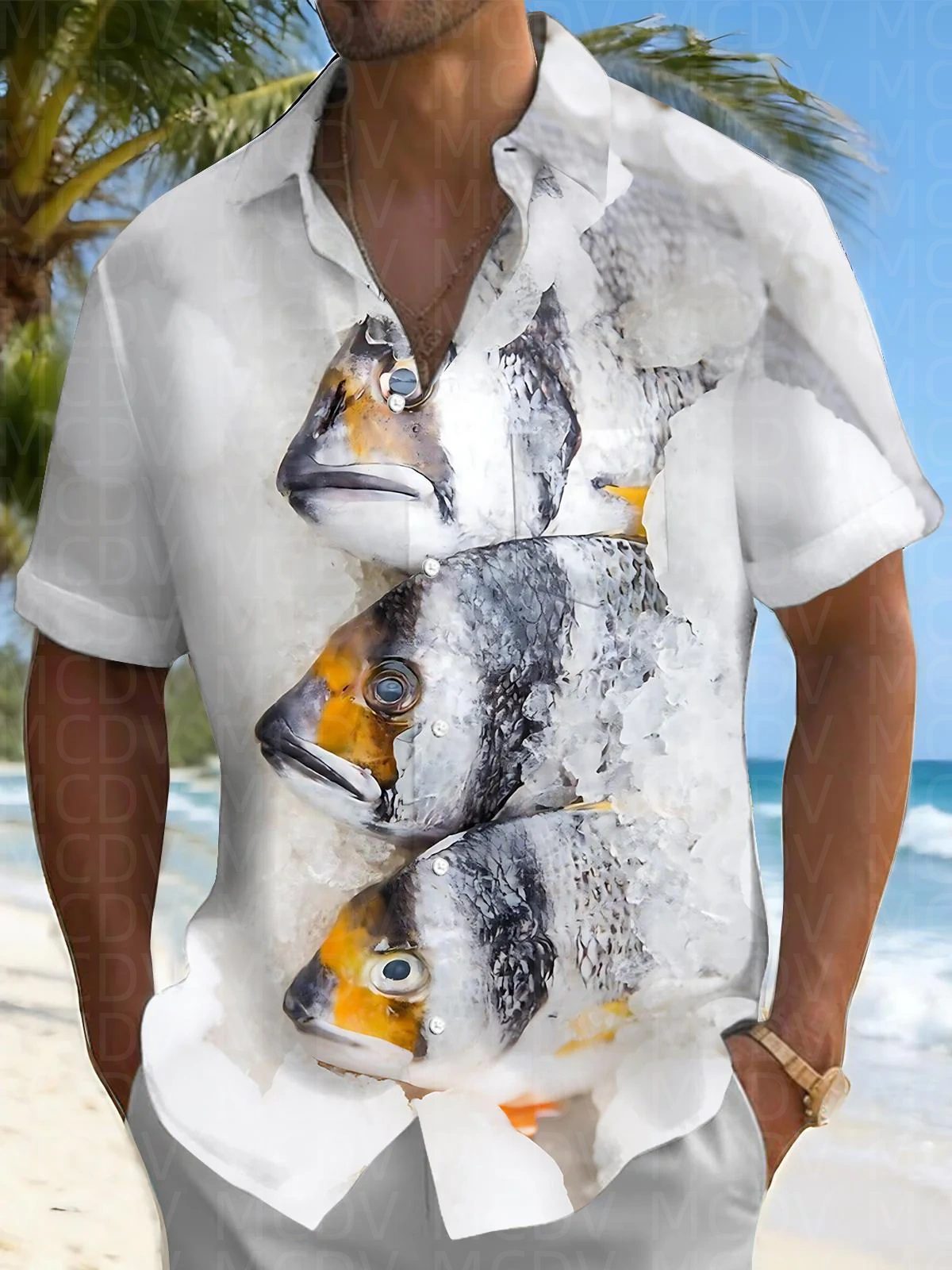 Bird Pattern Men's Hawaiian Sh - Shirt Camp Collar avis et prix